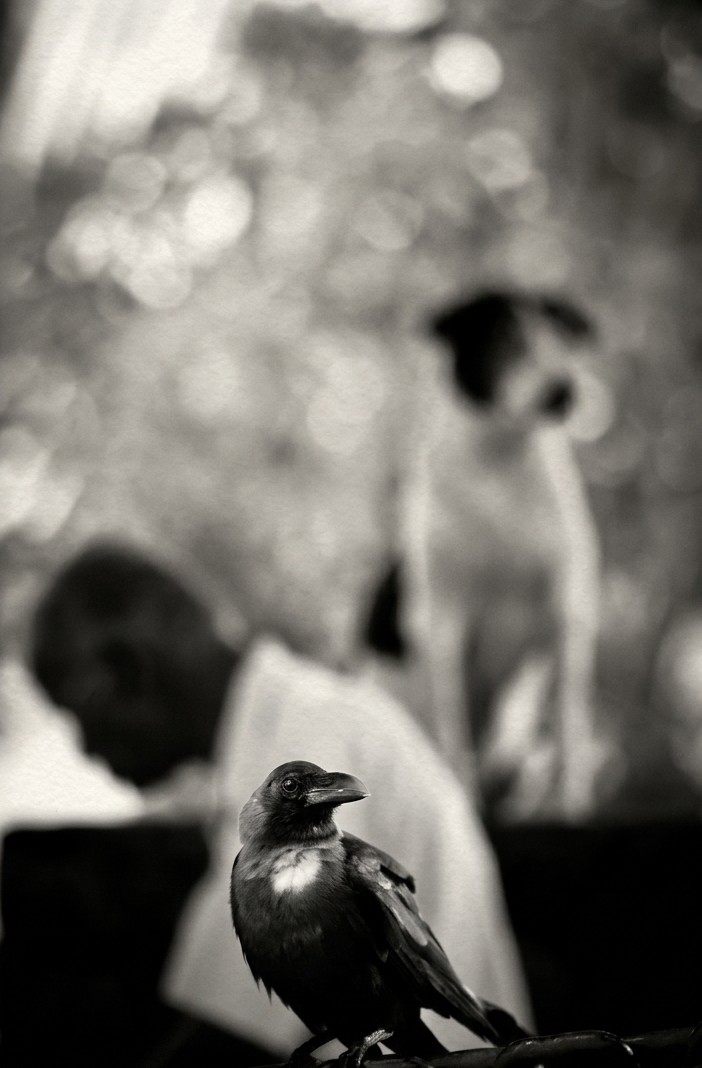 Photograph No. 27 by Rajiv CG